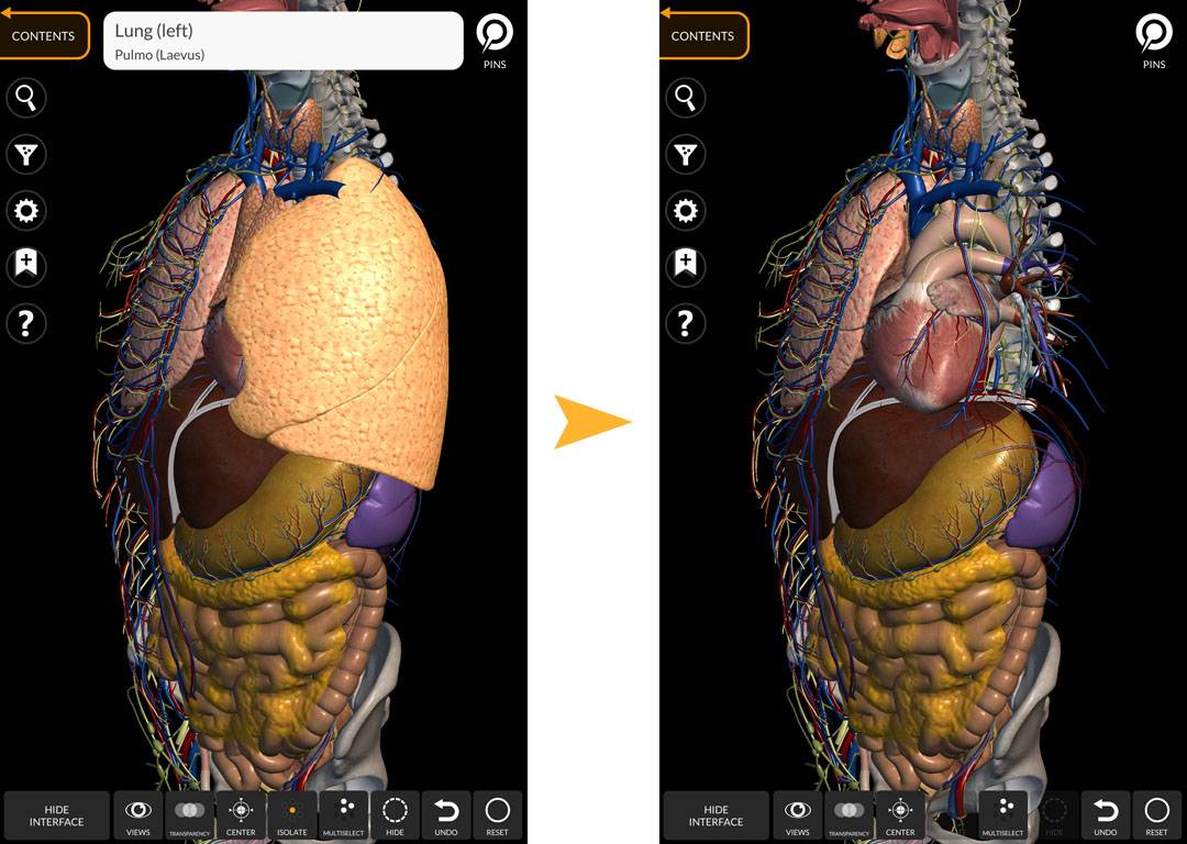 human anatomy atlas app torrent piratebay